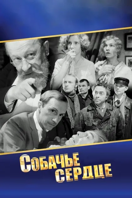 Сергей Бехтерев